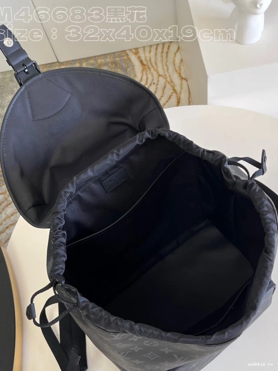 WIS LOUIS BACKPACK VUITTON 0803
